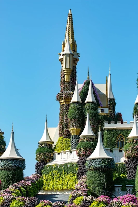 Zamek porośnięty roślinami z napisem Disneyland