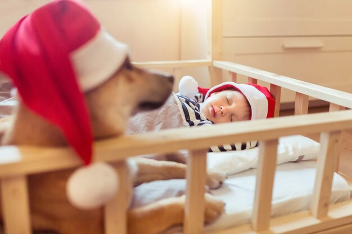 Mały chłopiec śpi z psem w czerwonym kapeluszu na łóżku